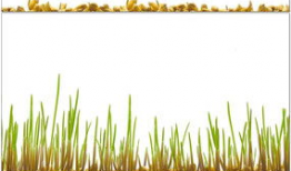 小草视频,捕捉生活瞬间，展现人间真情